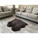 Whisenhunt Performance Faux Sheepskin Washable Indoor Rug