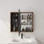 Armoire de salle de bain avec miroir