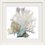 « Coral » par Aimee Wilson - reproduction d'impression sur toile tendue-403207844-403263568-515388064