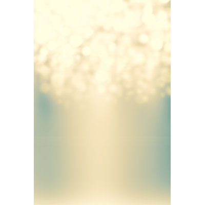 Sparkling Lights - Wrapped Canvas Print