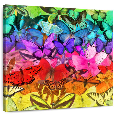 Brampt Rainbow Of Butterflies