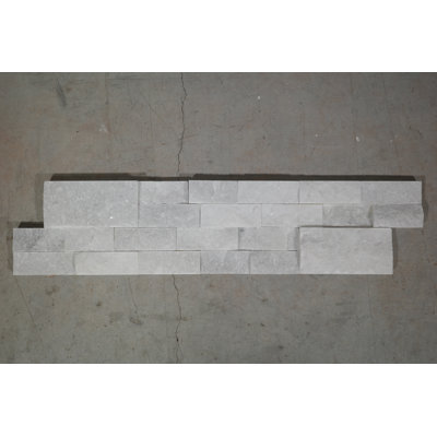 6 tuiles murales 6 x 24