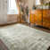 Olsen Oriental Area Rug