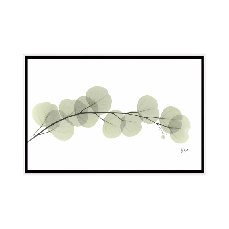 «Eucalyptus» par Albert Koetsier, reproduction sur toile, H 18 po x l 26 po x P 1,5 po, Cadre blanc, Pas de tapis