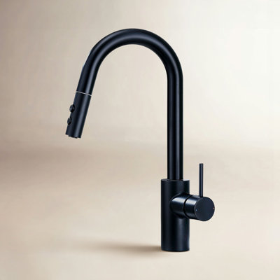 Pull-Down Kitchen Faucet with Accessories