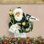 NCAA 12 "College Spirit Proud Santa-1478193