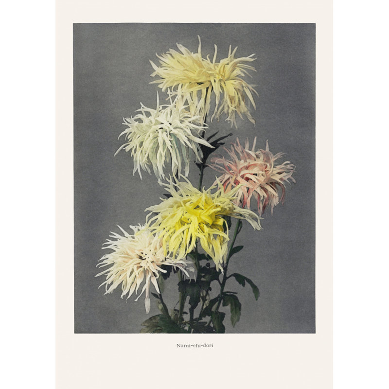Wrapped Canvas Print, 76.2cm H x 50.8cm W