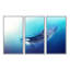 «Killer Whale And Sea», 3 pièces, cadre flottant, impression sur toile-457698374-430090969
