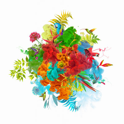 «Paint Explosion with Plants» par Viseurskaya