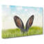 Ears Of A Hare In The Grass - Wrapped Canvas Painting-56659956