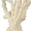 Sculpture crème en corail Brodey