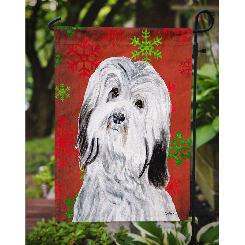 Drapeau rouge et vert Vart, Bichon havanais
