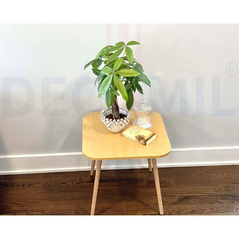Cherysh Solid Wood End Table, White