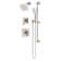 Verity HydroMersion Double Handle Shower System with Hand Spray