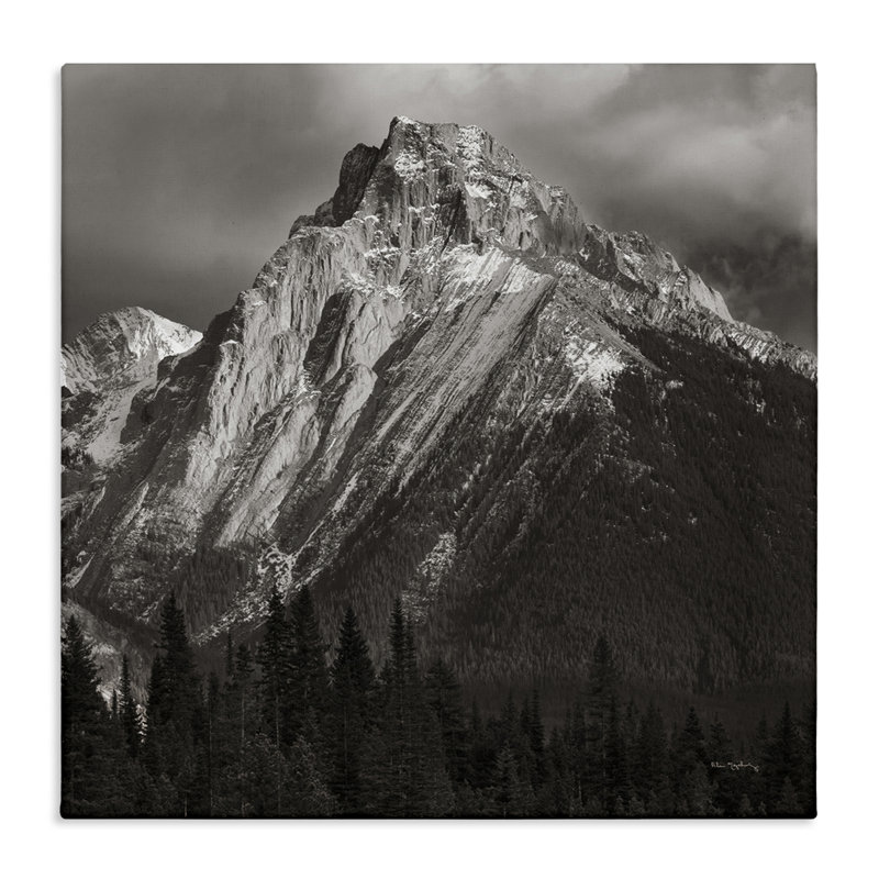 Canadian Rockies View Canvas Wall Art by Alan Majchrowicz, 24" H x 24" W