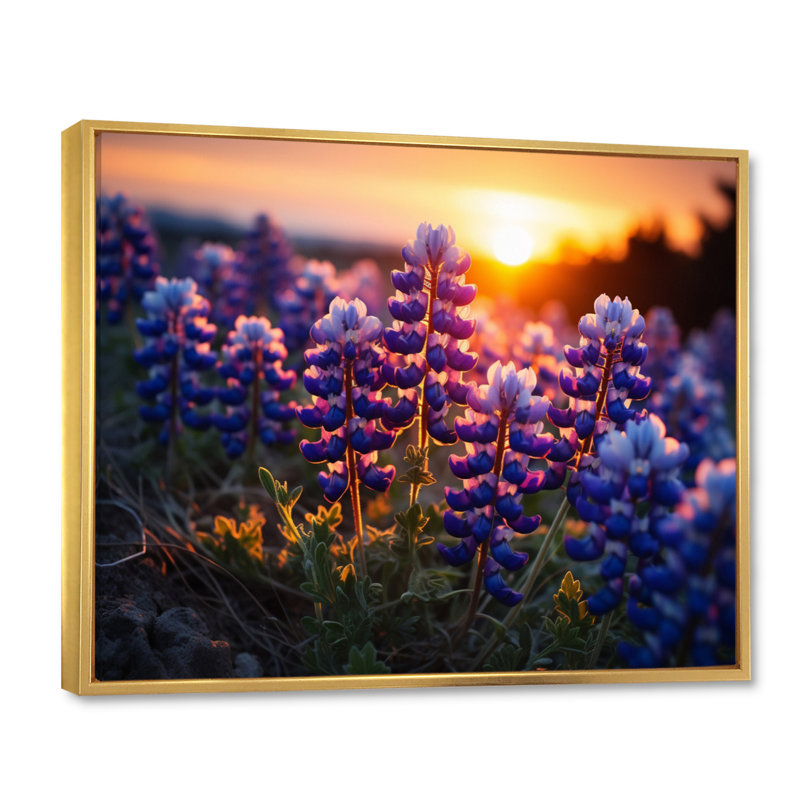 Sunrise Blue Bonnets Field II - Blue Bonnets, reproduction d'art sur toile, H 12 po x l 20 po x P 1 po, Cadre flottant doré