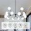 Lustre moderne à 15 lumières Lynanne