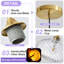 1 - Light Gold Novelty Pendant