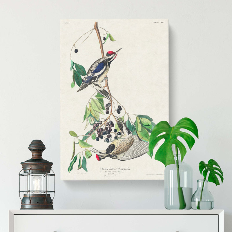 Yellow-Bellied Woodpeckers by John Audubon - Wrapped Canvas, 50cm H x 35cm W x 3cm D