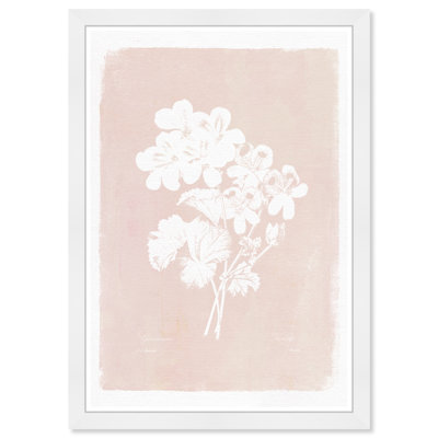 Plants & Flowers Framed Art