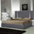 Preciado Upholstered Platform Bed-298560571-298534050