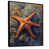 Black Floater Framed