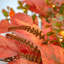 COPPER LEAF Faux 66cm Wreath