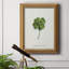 «Lucky Charm I» - Impression-1955274308