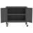 Storage Cabinet Freestanding File Cabinet with Shelves for Office Steel-1149253491