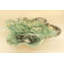 Centre de table vert Fluorite Aurora