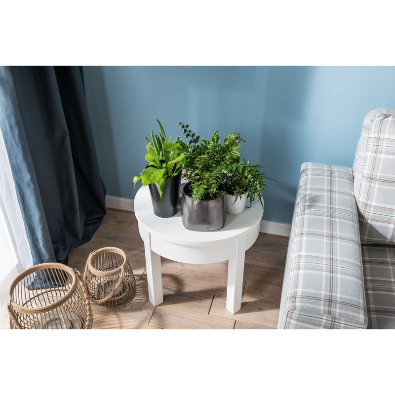Shinde Wheel Coffee Table with Storage, White