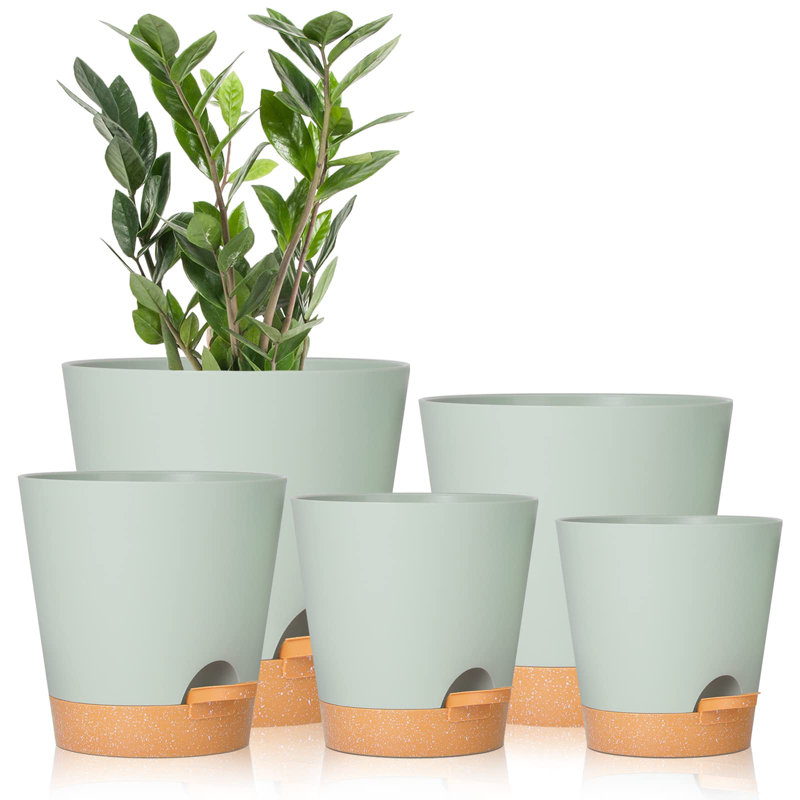 Plant Pots with Drainage Hole, Green