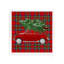 Acrylic Decorative Tray-1822918242