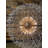 Islaa Dimmable Crystal Sputnik Chandelier -172794574-248832654-248832640