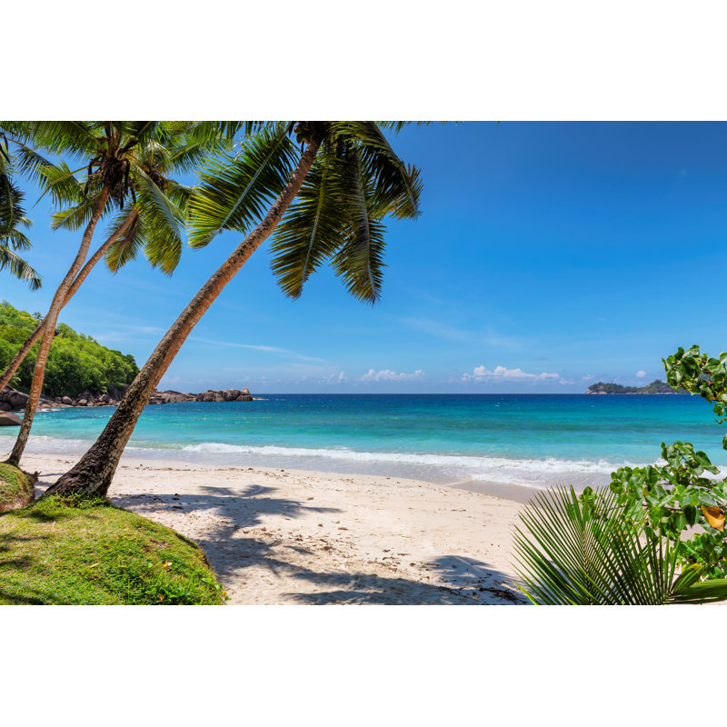 Palms on Tropical Beach par Lucky - Photographie sur toile tendue, H 20 po x l 30 po