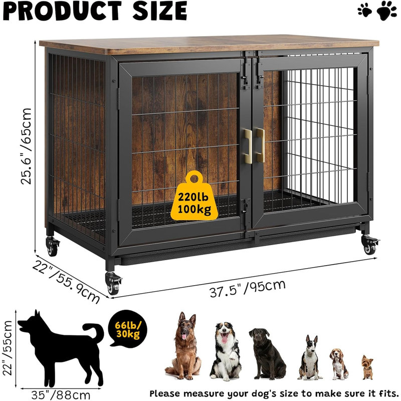 Dog House