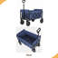 Chariot pliable tout-en-un à 4 roues avec siège et laisse pour chien - Chariot utilitaire pliable robuste pour le camping-123842578