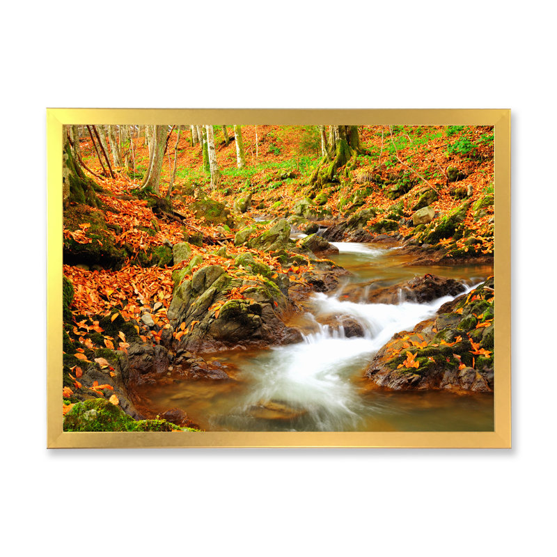 «Beautiful Autumn Forest River II», art mural traditionnel sur toile, Encadrement doré, H 12 po x l 20 po x P 1,5 po