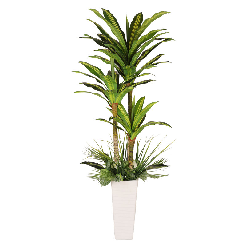 72'' Faux Dracaena Tree in Ceramic Pot