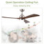 Ventilateur de plafond 52 po avec lumières