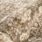 Abani Rugs Giavonnie ALA100A Traditional Brown Distressed Floral Area Rug-1981596492