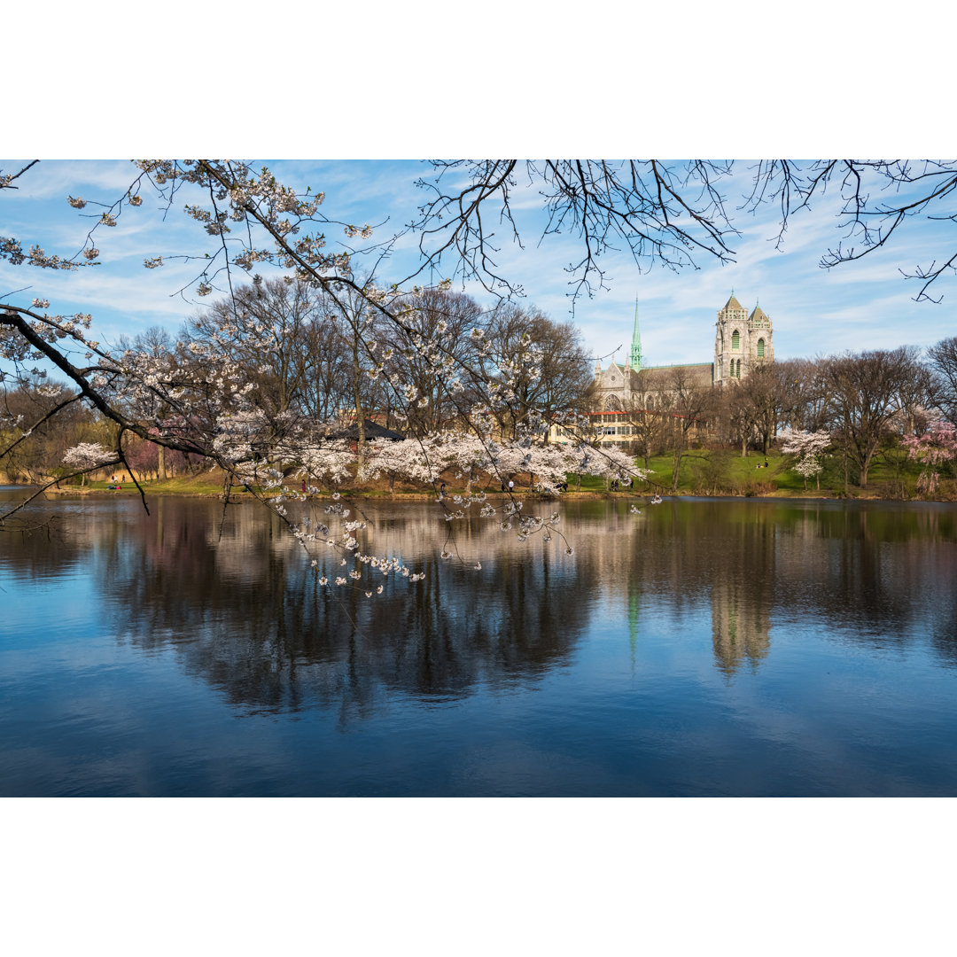 Betsey Cherry Blossom Branch - Wrapped Canvas Print