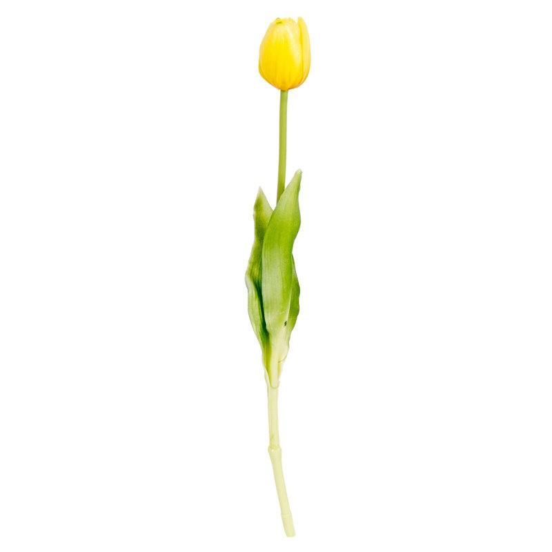 Tulip Arrangement