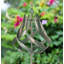 Giffords Abstract Metal Garden Statue-120965569