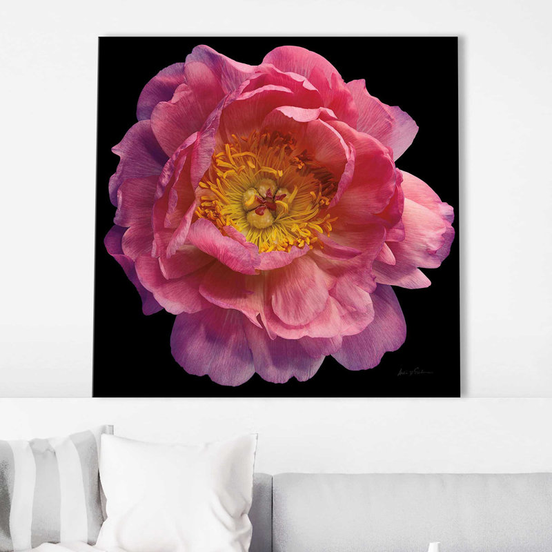 Floral majestueux II - photographie, Toile tendue, H 18 po x l 18 po x P 1 po