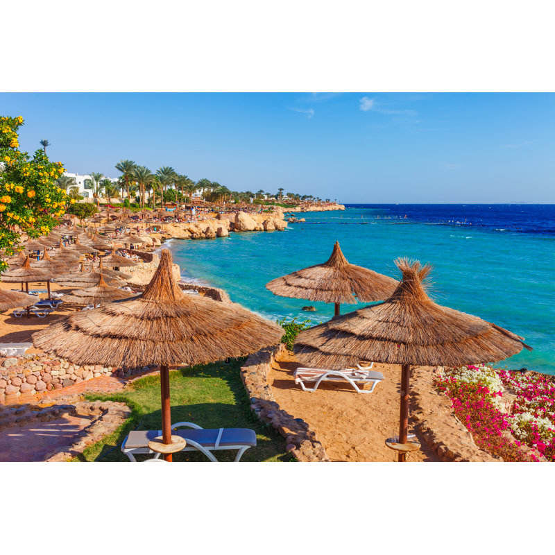 Resort Beach With Palm Trees by Oleg_P - Wrapped Canvas Print, 81cm H x 122cm W