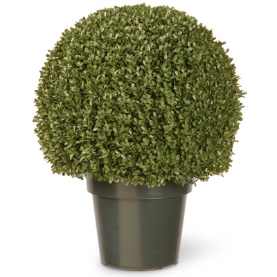 Mini boule de buis artificielle 22 po