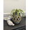 7.5 " Glass Lantern