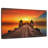 Aletra Dock To Sunset