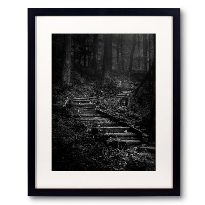 Forest Stairs Print